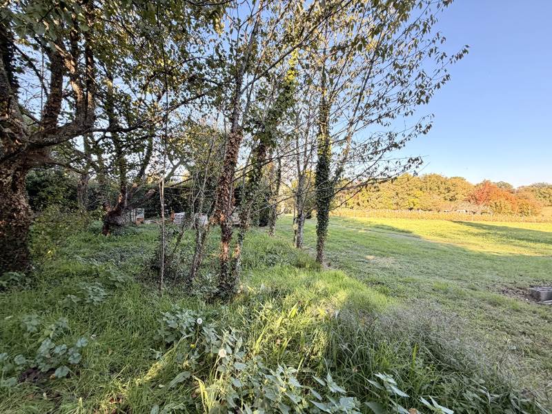Vente Maison LACROPTE - 2 pièces -35 m² - (24380)