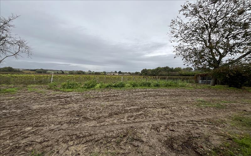 Vente Terrain ST QUENTIN DE BARON - -667 m² - (33750)