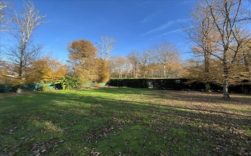 Vente Terrain SADIRAC - -602 m² - (33670)