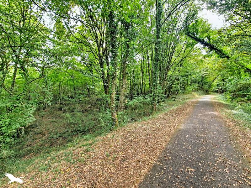 Terrain à vendre · à La Sauve · 66 780 €