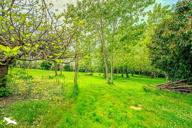 Vente Maison Baron - 4 pièces -205 m² - (33750)
