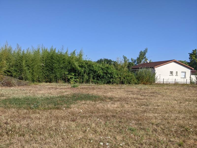 Vente Terrain LAVAUR - -555 m² - (81500)