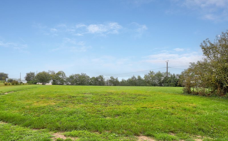 Vente Terrain BELCASTEL - -2507 m² - (81500)