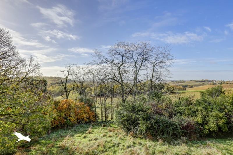 Vente Maison BELCASTEL - 8 pièces -320 m² - (81500)