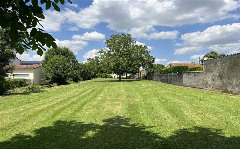 Vente Terrain NIORT - -2000 m² - (79000)
