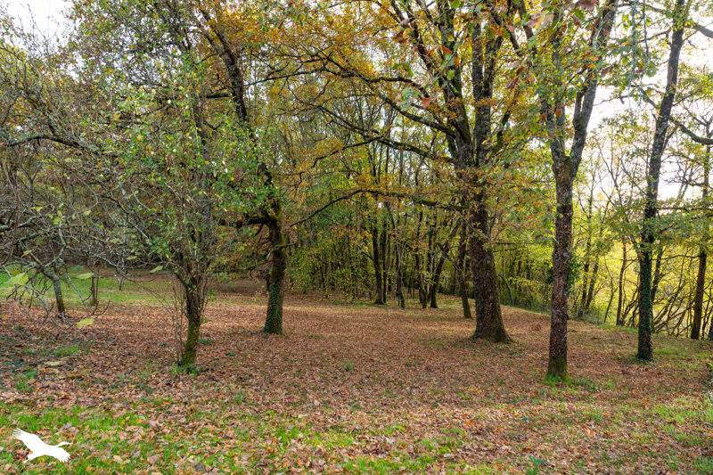 Vente Maison STE COLOMBE EN BRUILHOIS - 4 pièces -140 m² - (47310)