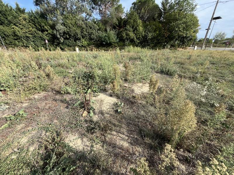 Vente Terrain Brax - -816 m² - (47310)