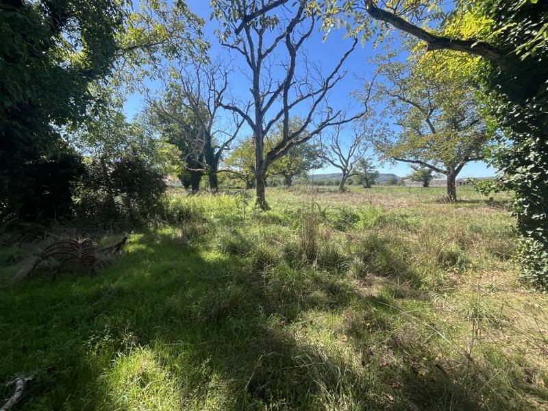Vente Terrain Tauriac - -3632 m² - (46130)