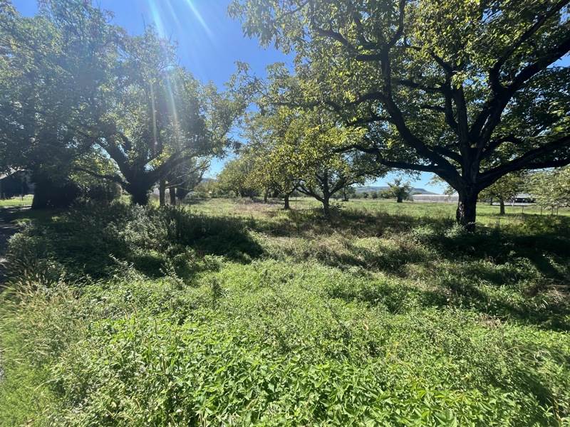 Vente Terrain Tauriac - -3632 m² - (46130)