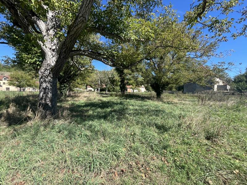 Vente Terrain Tauriac - -3632 m² - (46130)