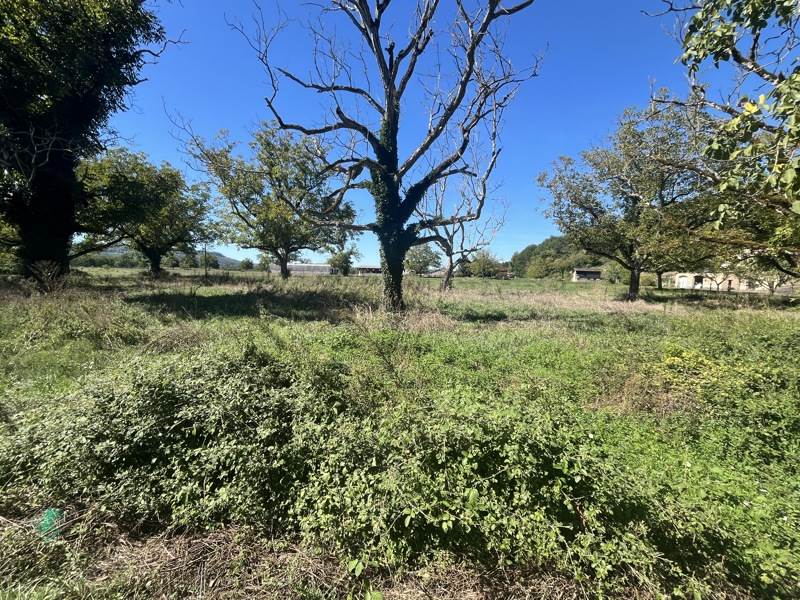 Vente Terrain Tauriac - -3632 m² - (46130)