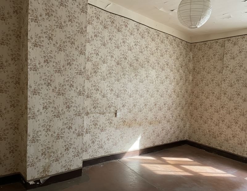 Vente Maison NIZAS - 4 pièces -70 m² - (34320)