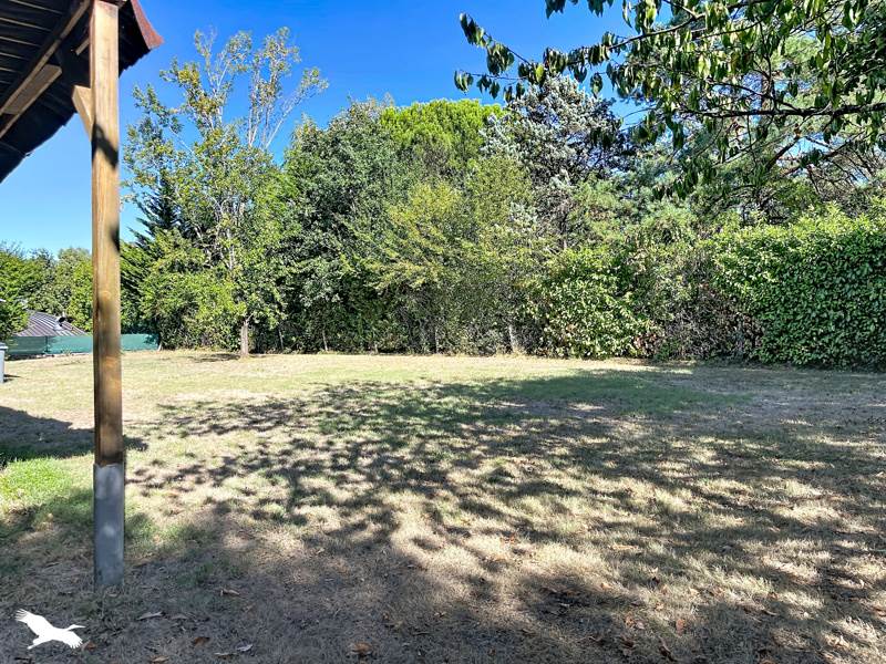 Vente Terrain ST JEAN - -1220 m² - (31240)