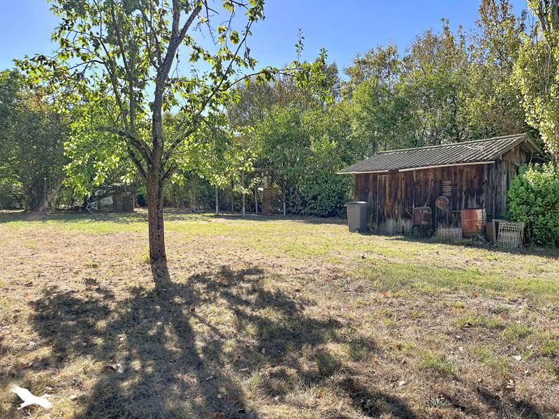 Vente Terrain ST JEAN - -1220 m² - (31240)