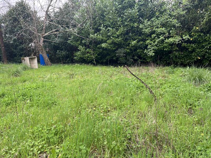 Vente Terrain VILLEGOUGE - -593 m² - (33141)