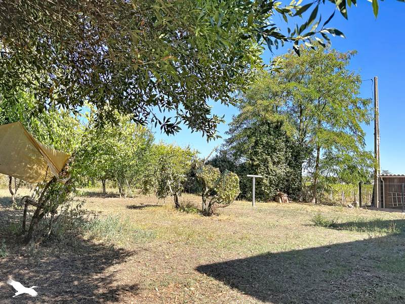 Vente Maison Saint-Émilion - 7 pièces -246 m² - (33330)
