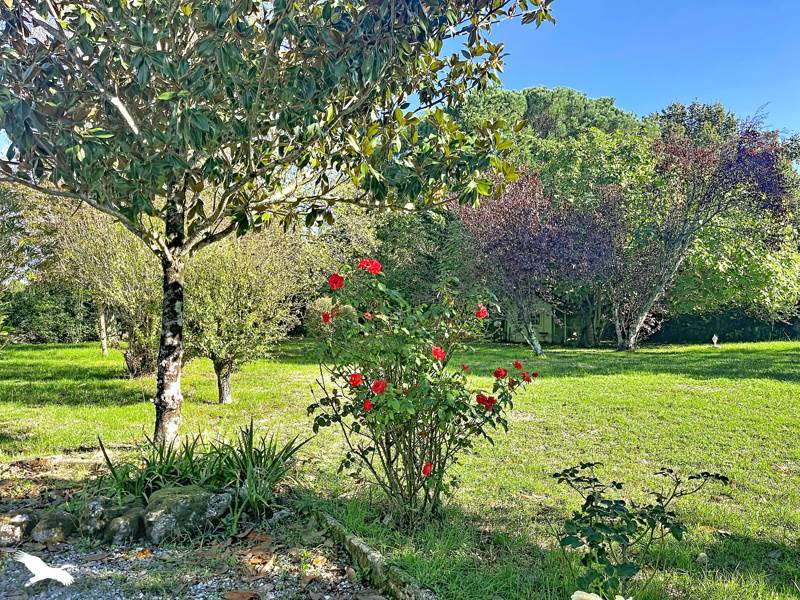 Vente Maison Villegouge - 7 pièces -166 m² - (33141)