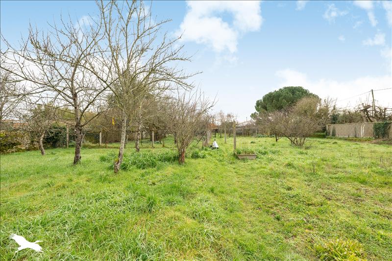 Vente Maison NIEULLE SUR SEUDRE - 7 pièces -139 m² - (17600)