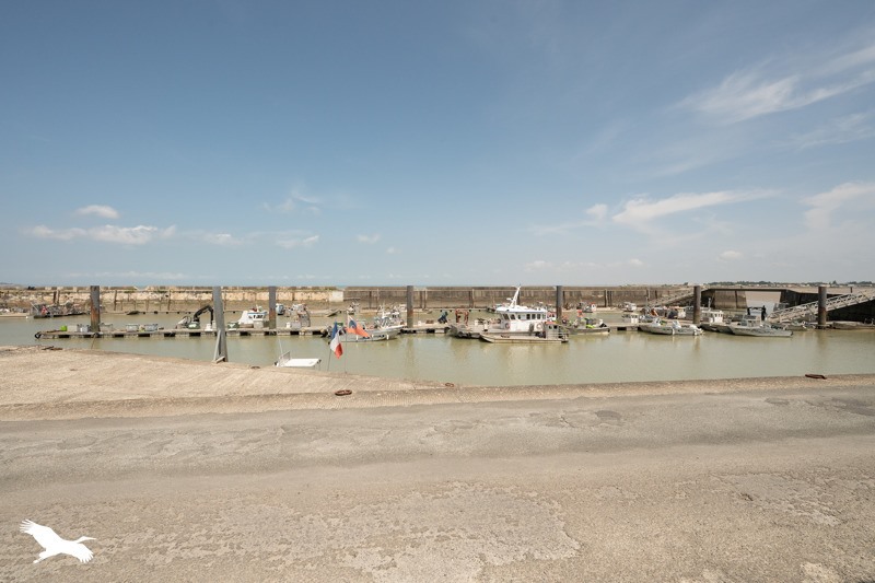 Vente Maison BOURCEFRANC LE CHAPUS - 4 pièces -85 m² - (17560)