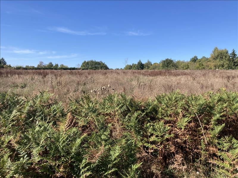 Vente Terrain ST JUNIEN - -19935 m² - (87200)