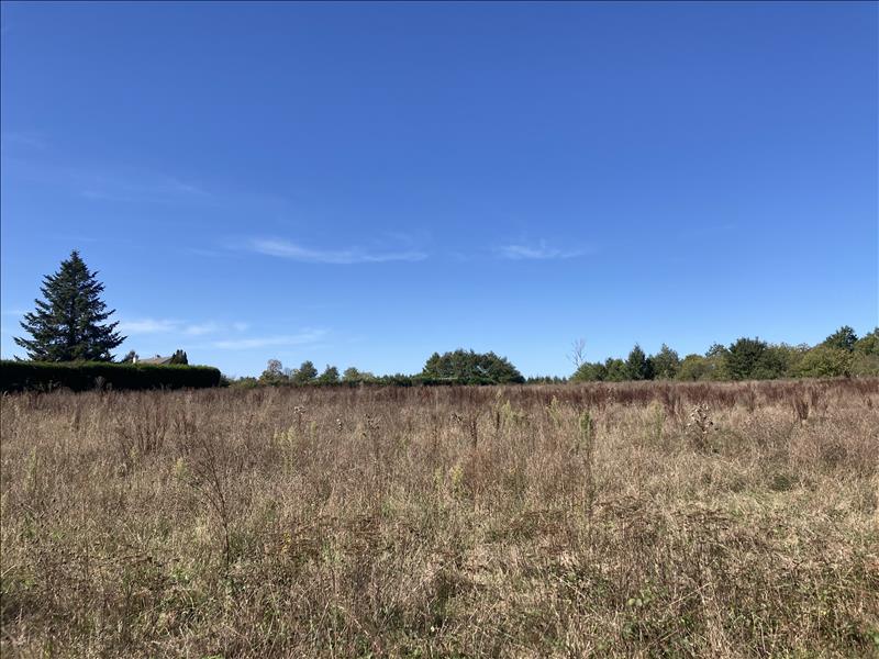 Vente Terrain ST JUNIEN - -19935 m² - (87200)