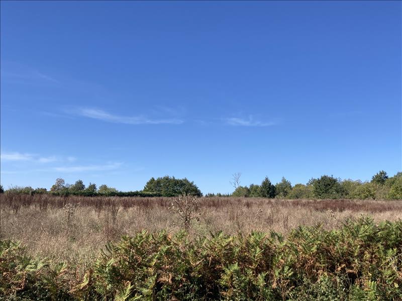 Vente Terrain ST JUNIEN - -19935 m² - (87200)