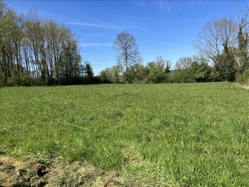Vente Terrain SAILLAT SUR VIENNE - -2316 m² - (87720)