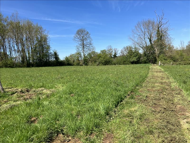 Vente Terrain SAILLAT SUR VIENNE - -2316 m² - (87720)