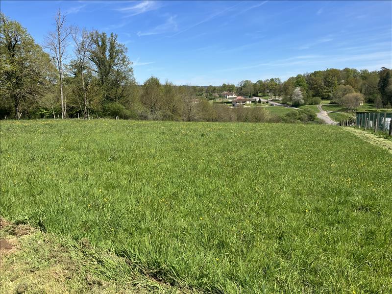 Vente Terrain SAILLAT SUR VIENNE - -2355 m² - (87720)