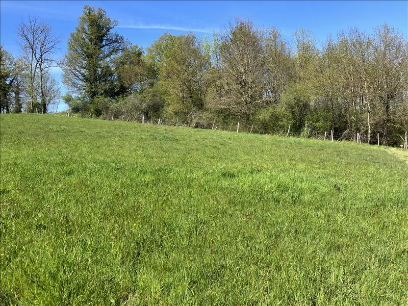Vente Terrain SAILLAT SUR VIENNE - -2316 m² - (87720)