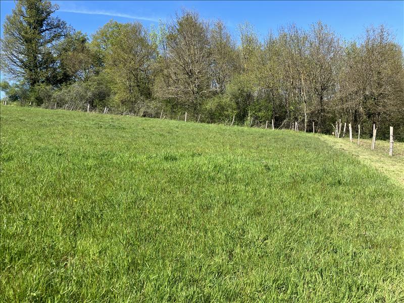 Vente Terrain SAILLAT SUR VIENNE - -2316 m² - (87720)