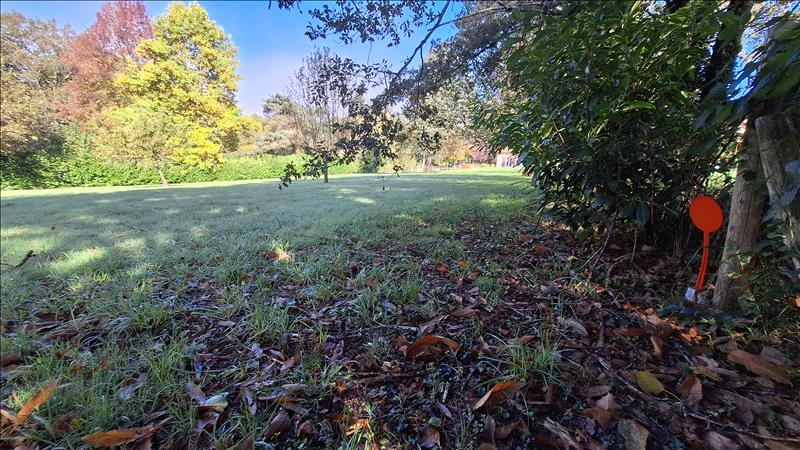 Vente Terrain ST JUNIEN - -3500 m² - (87200)