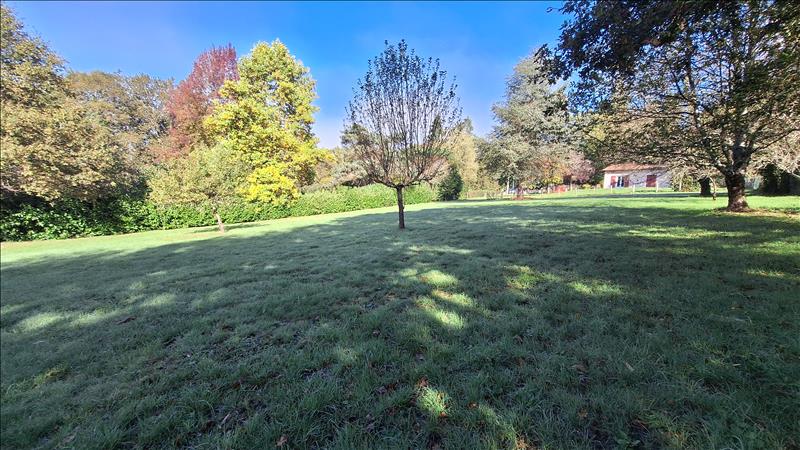 Vente Terrain ST JUNIEN - -3500 m² - (87200)