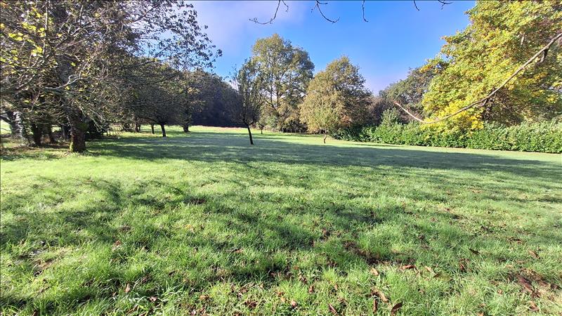 Vente Terrain ST JUNIEN - -3500 m² - (87200)