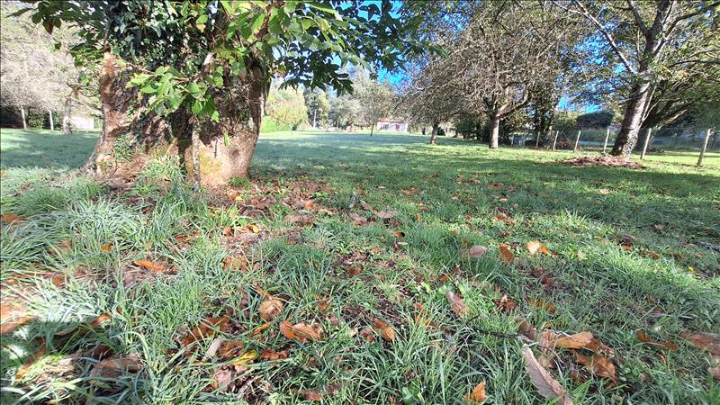 Vente Terrain ST JUNIEN - -1608 m² - (87200)