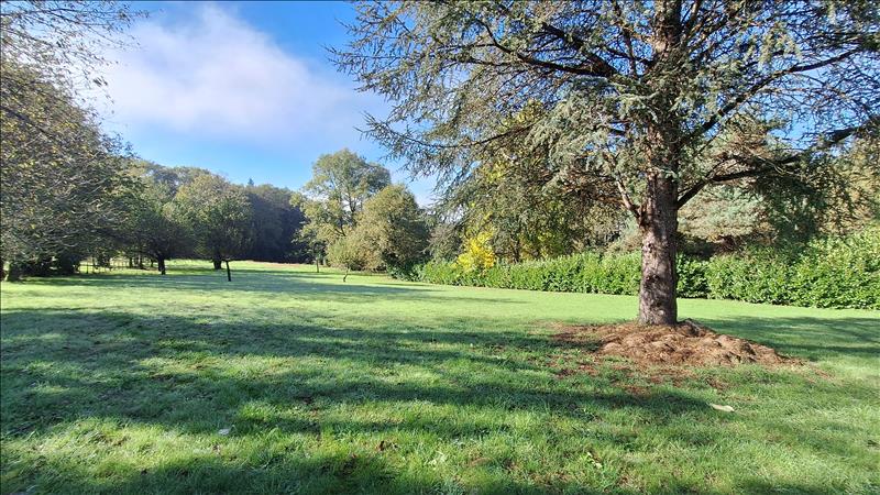 Vente Terrain ST JUNIEN - -1892 m² - (87200)