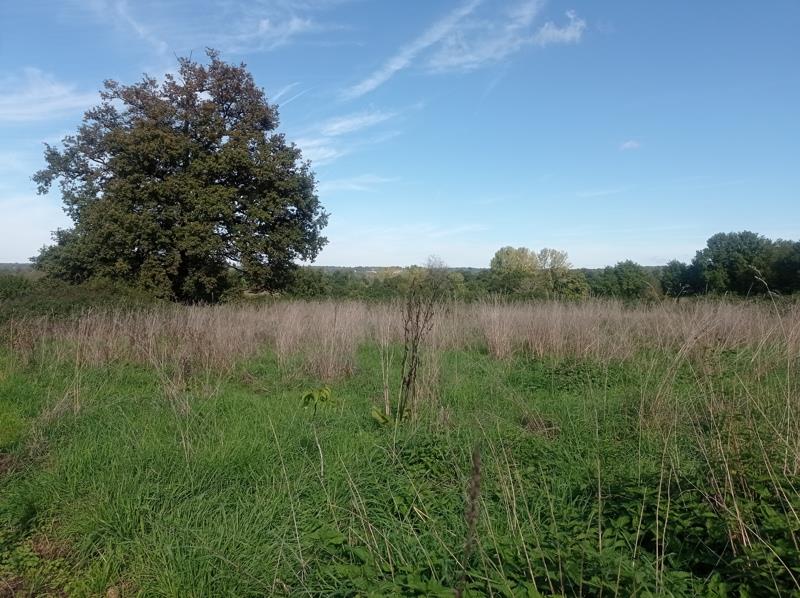 Vente Terrain ST JUNIEN - -3247 m² - (87200)