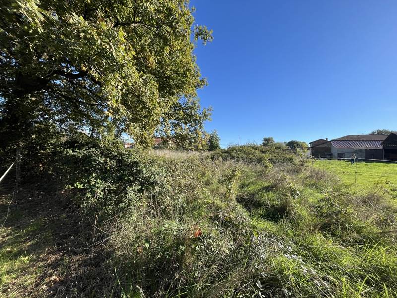 Vente Terrain ST JUNIEN - -3247 m² - (87200)