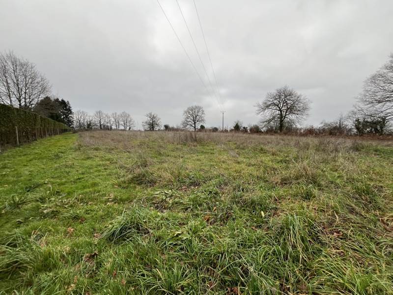 Vente Terrain ST JUNIEN - -9440 m² - (87200)