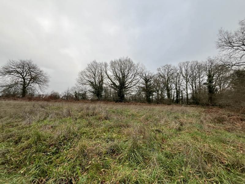 Vente Terrain ST JUNIEN - -9440 m² - (87200)