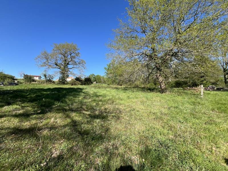 Vente Terrain SAILLAT SUR VIENNE - -932 m² - (87720)