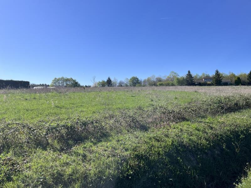 Vente Terrain ST JUNIEN - -19935 m² - (87200)