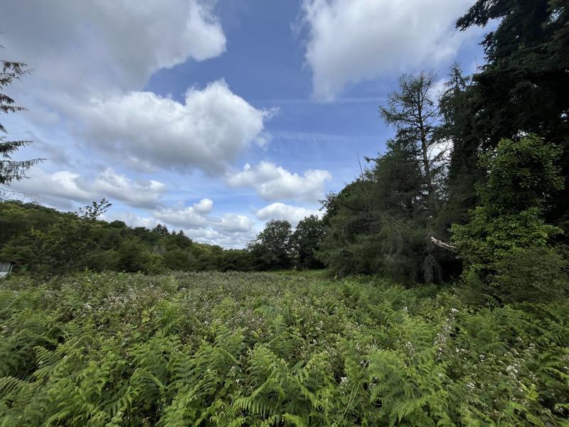 Vente Terrain CIEUX - -4316 m² - (87520)