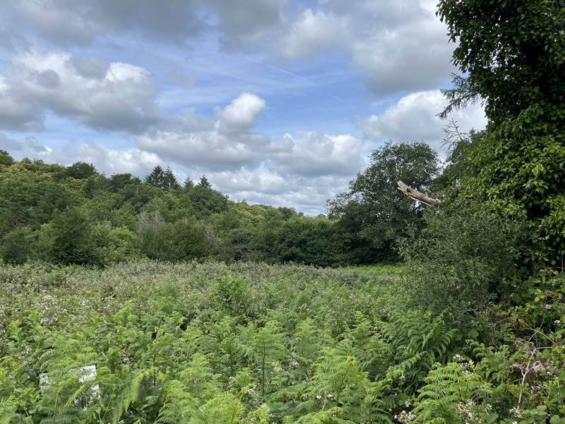 Vente Terrain CIEUX - -4316 m² - (87520)