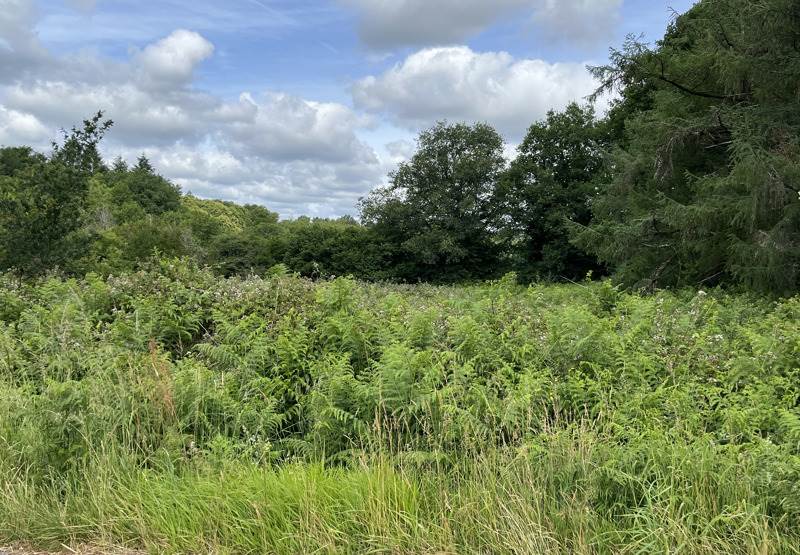 Vente Terrain CIEUX - -4316 m² - (87520)