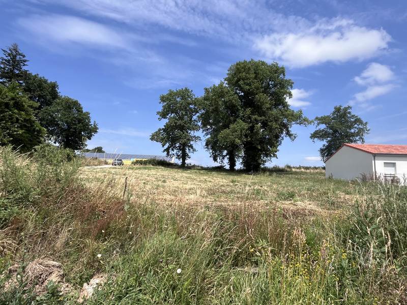 Vente Terrain ST JUNIEN - -1332 m² - (87200)