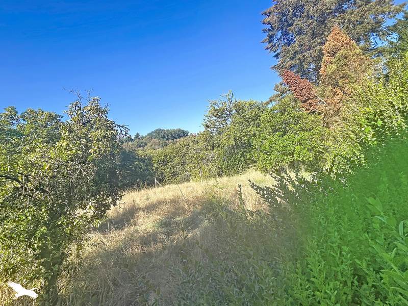Vente Maison ST JUNIEN - 4 pièces -105 m² - (87200)