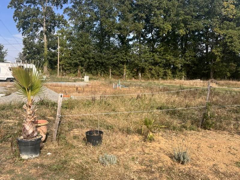 Vente Terrain Saint-Junien - -1345 m² - (87200)