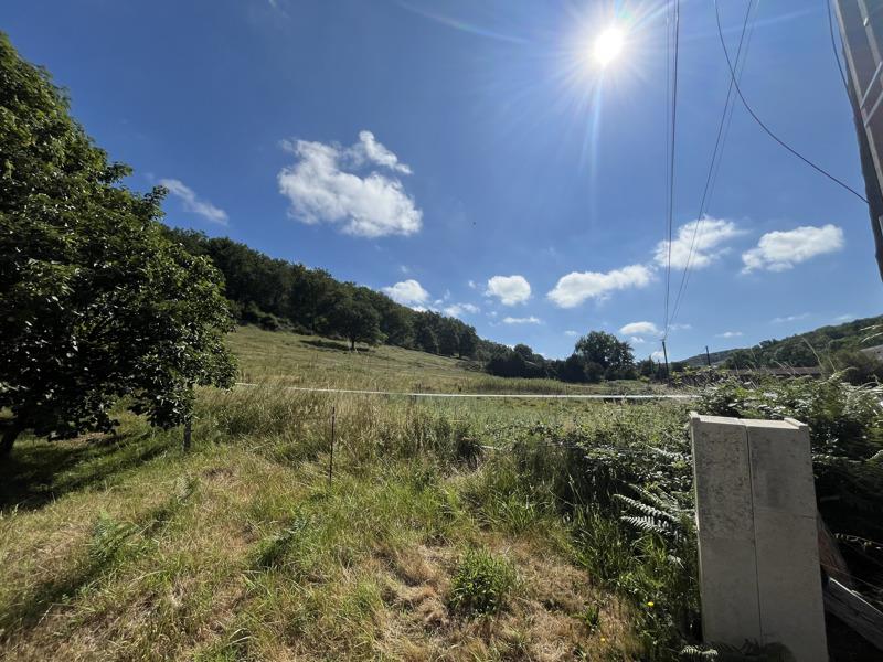 Vente Terrain PEYRAUBE - -1531 m² - (65190)