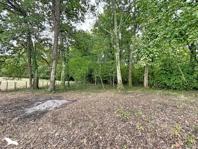 Vente Terrain Pouyastruc - -2516 m² - (65350)